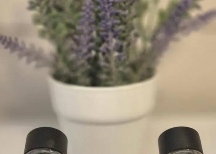 Appartamento Kalamia's Cozy Pýrgos